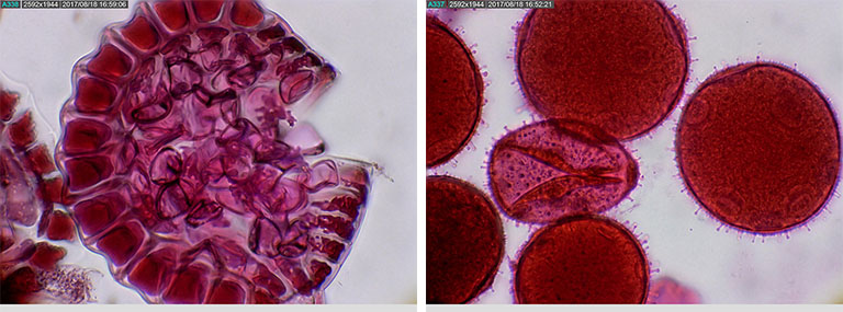 am7023ct-img1.jpg am7023ct-img1.jpg