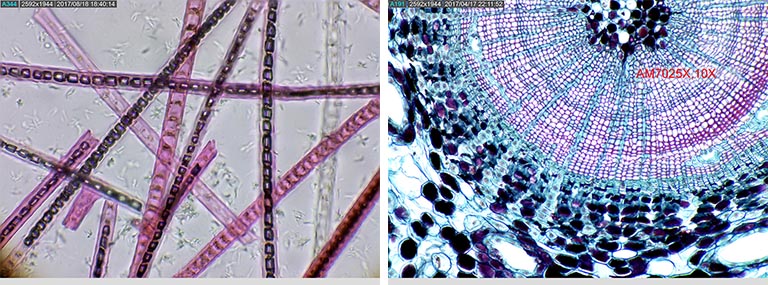 am7023ct-img2.jpg am7023ct-img2.jpg