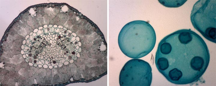 am4023ct-img1.jpg am4023ct-img1.jpg