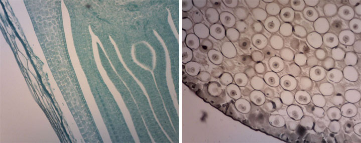 am4023ct-img3.jpg am4023ct-img3.jpg