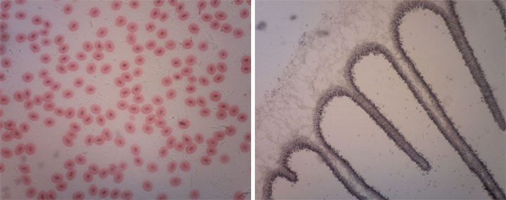 am4023ct-img2.jpg am4023ct-img2.jpg