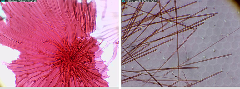 AM7025x-img4.jpg AM7025x-img4.jpg