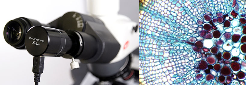 AM4025X-img1.jpg AM4025X-img1.jpg