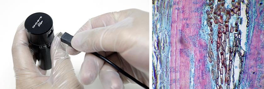 AM4025X-img4.jpg AM4025X-img4.jpg