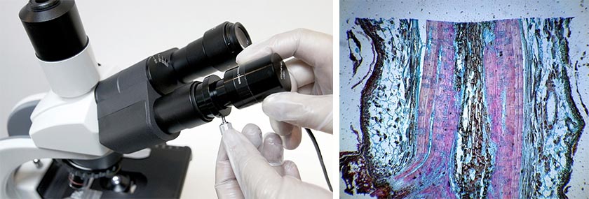 AM4025X-img5.jpg AM4025X-img5.jpg