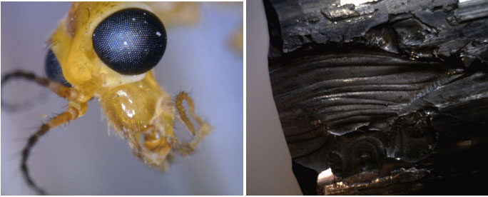 AM7013MZT-img3.jpg AM7013MZT-img3.jpg